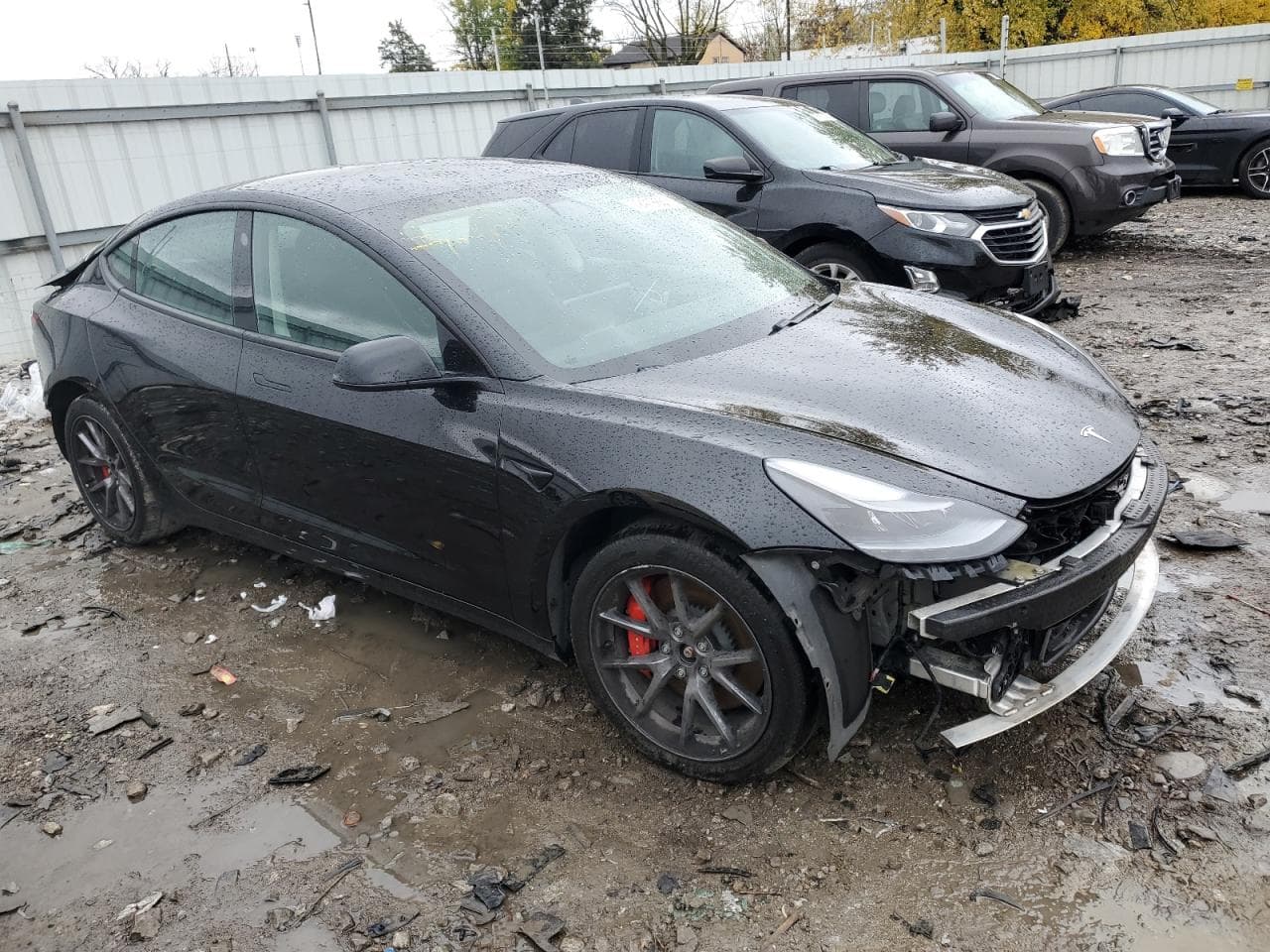 2021 Tesla Model 3 - foto 4