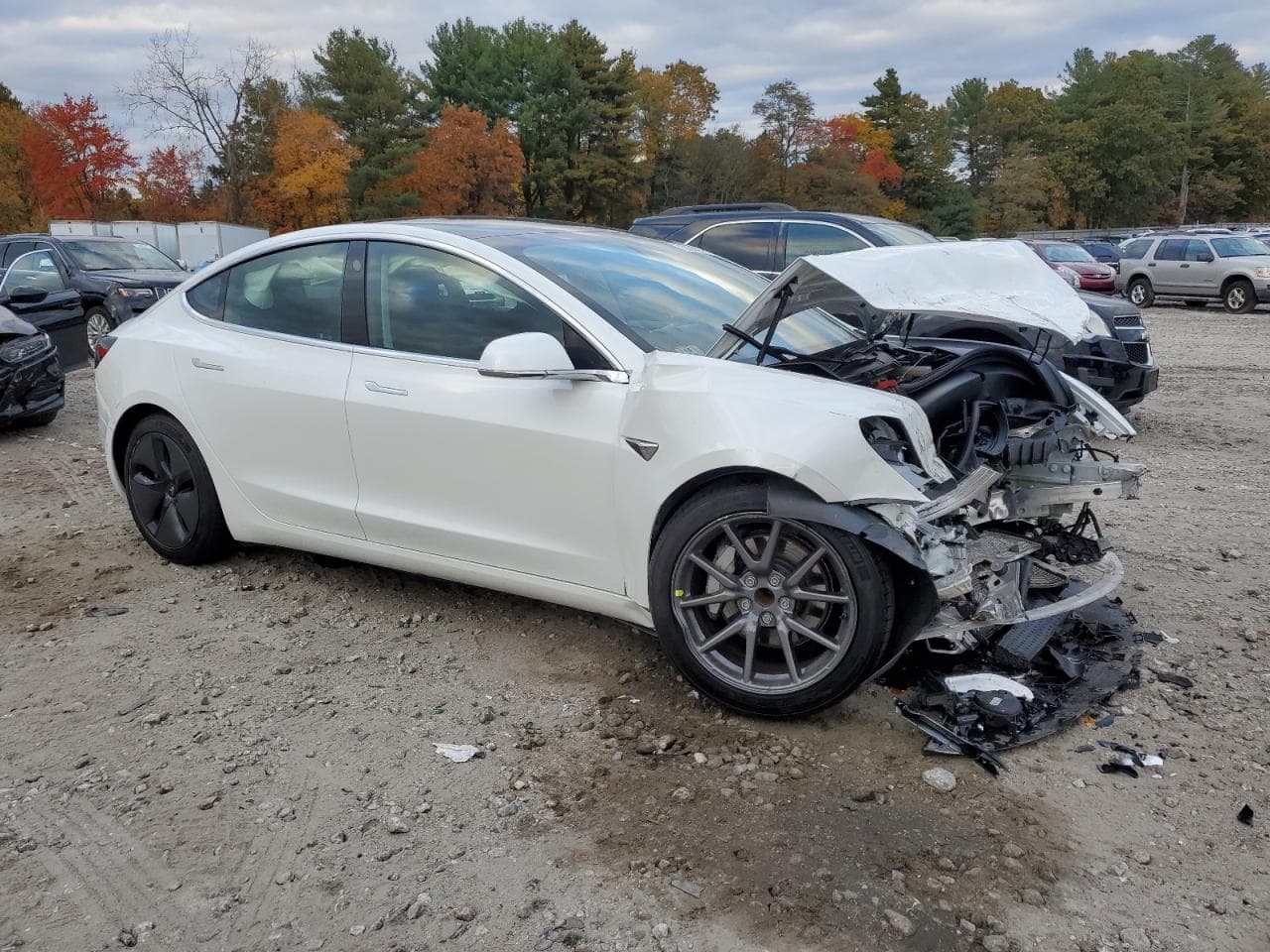 2020 Tesla Model 3 - foto 4