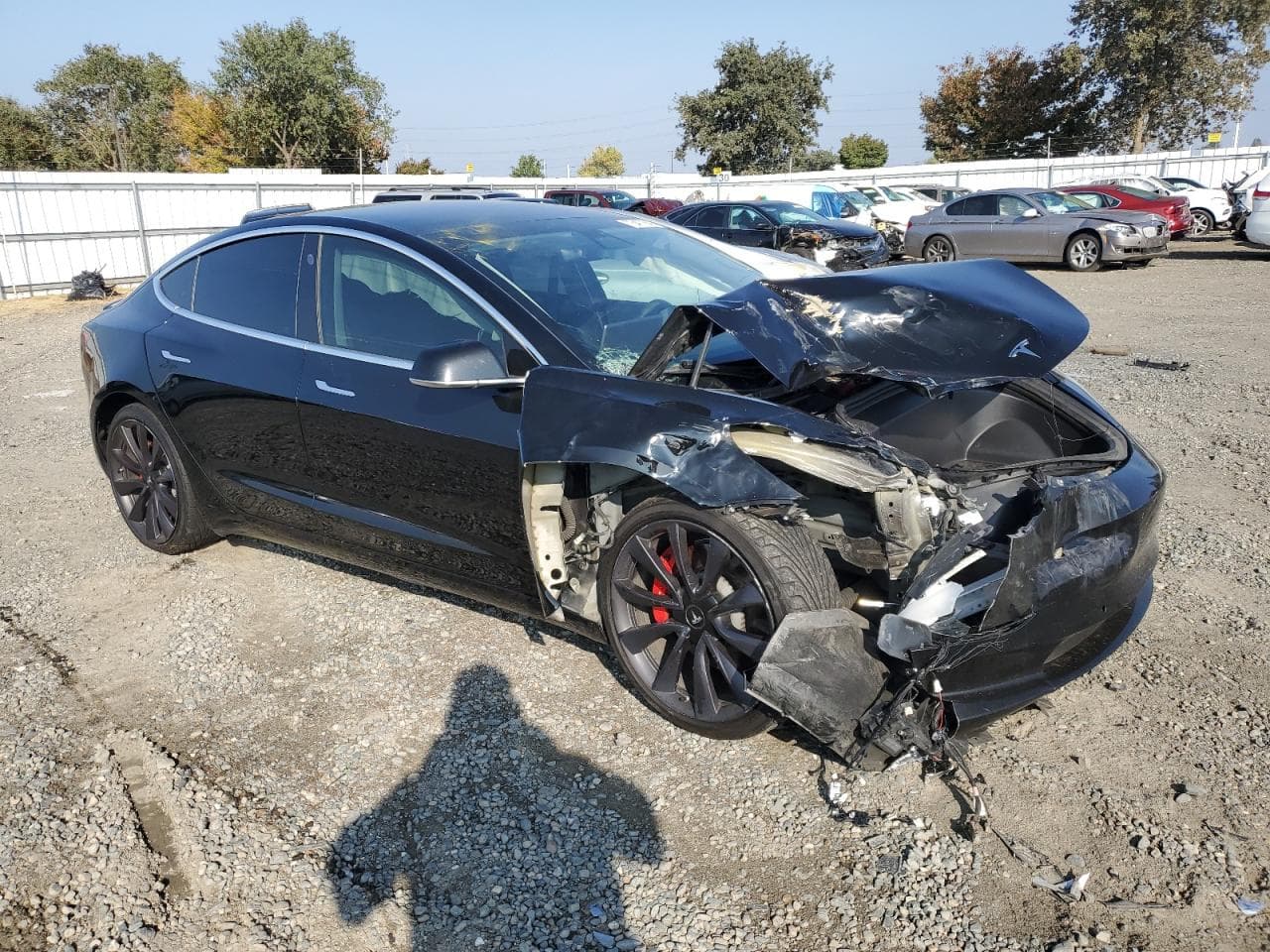 2020 Tesla Model 3 - foto 4