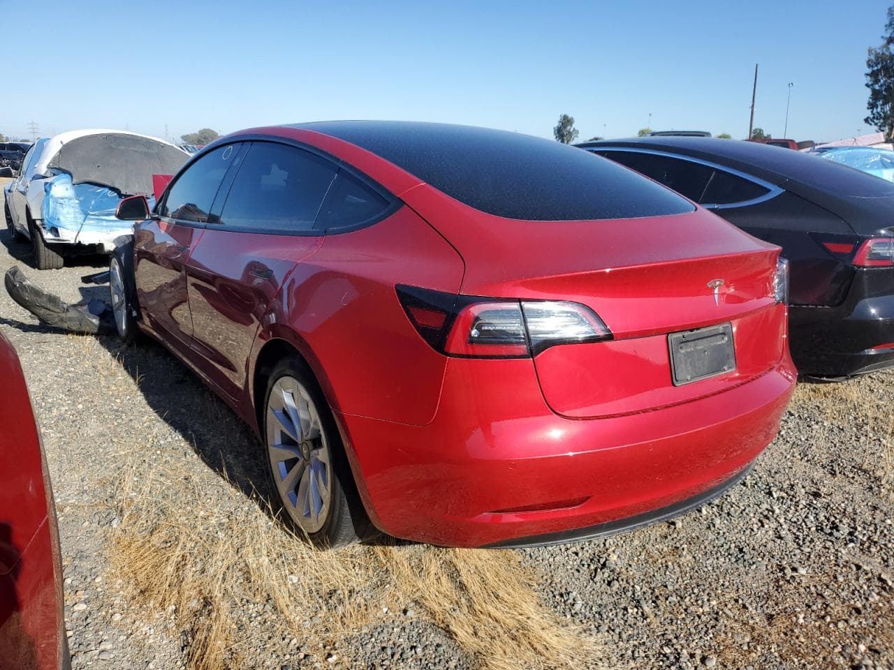 2021 Tesla Model 3 - foto 2