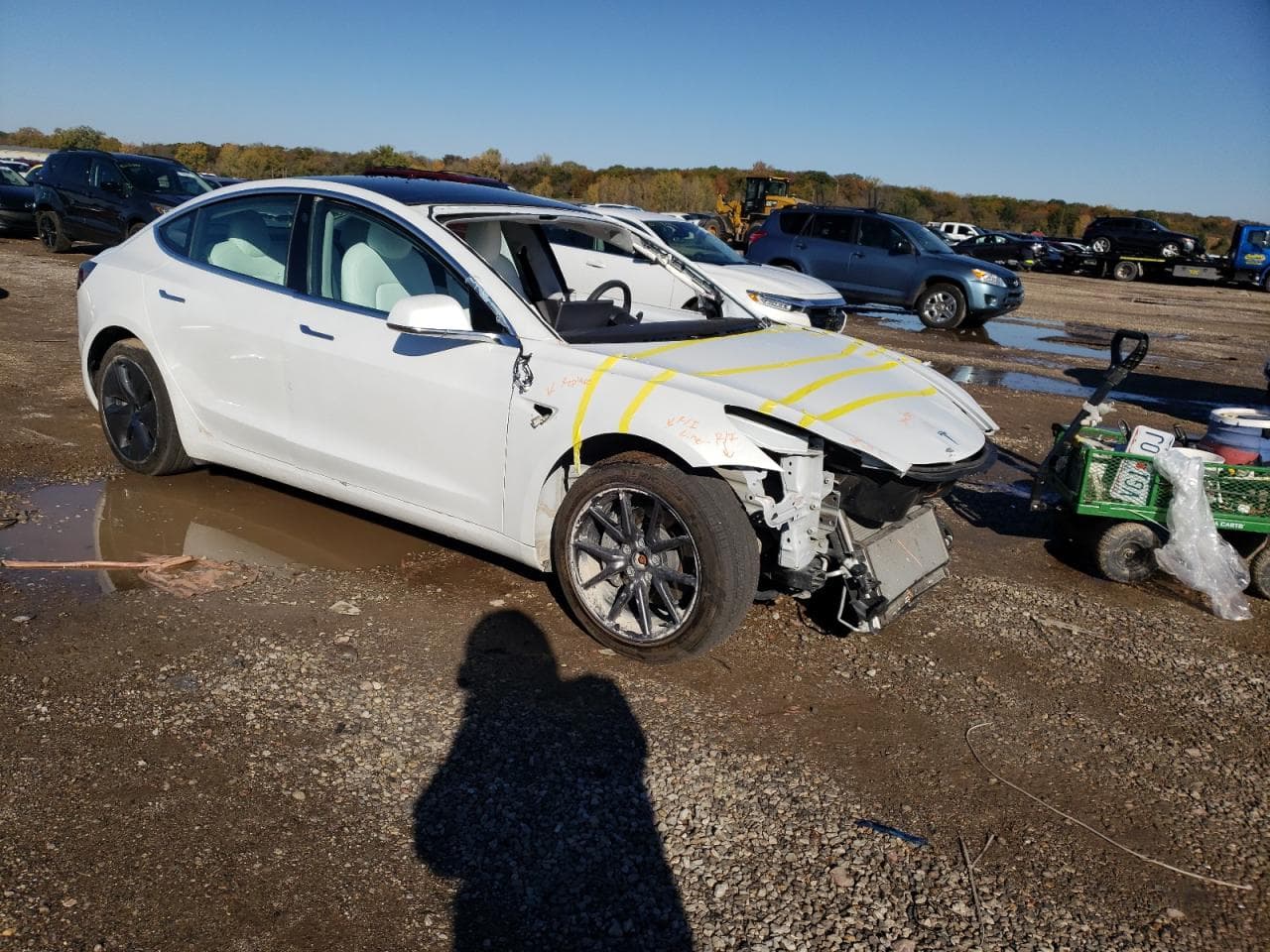 2020 Tesla Model 3 - foto 4