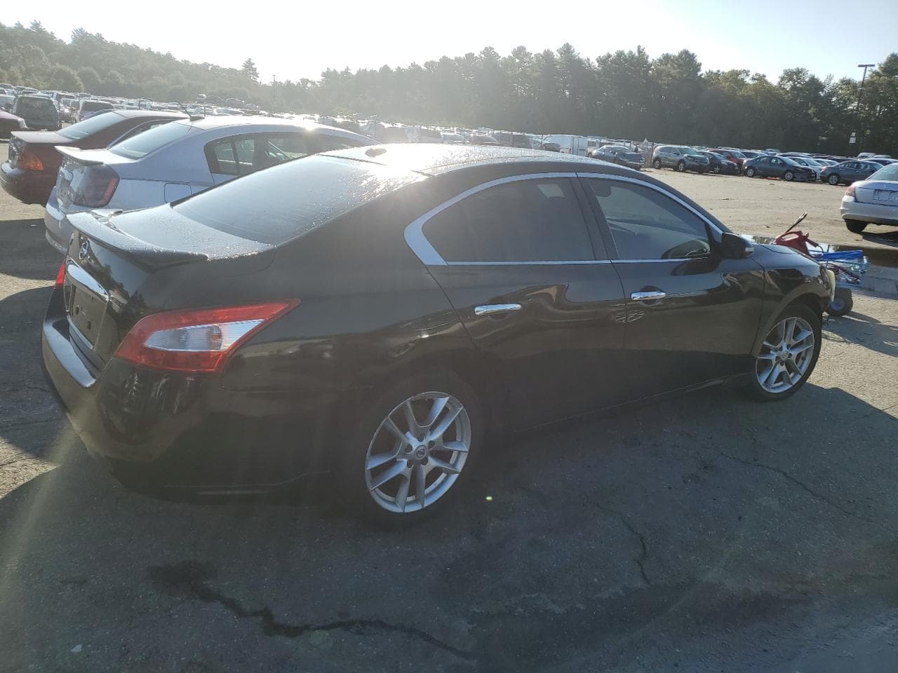 2011 Nissan Maxima 3.5 Sv - foto 3