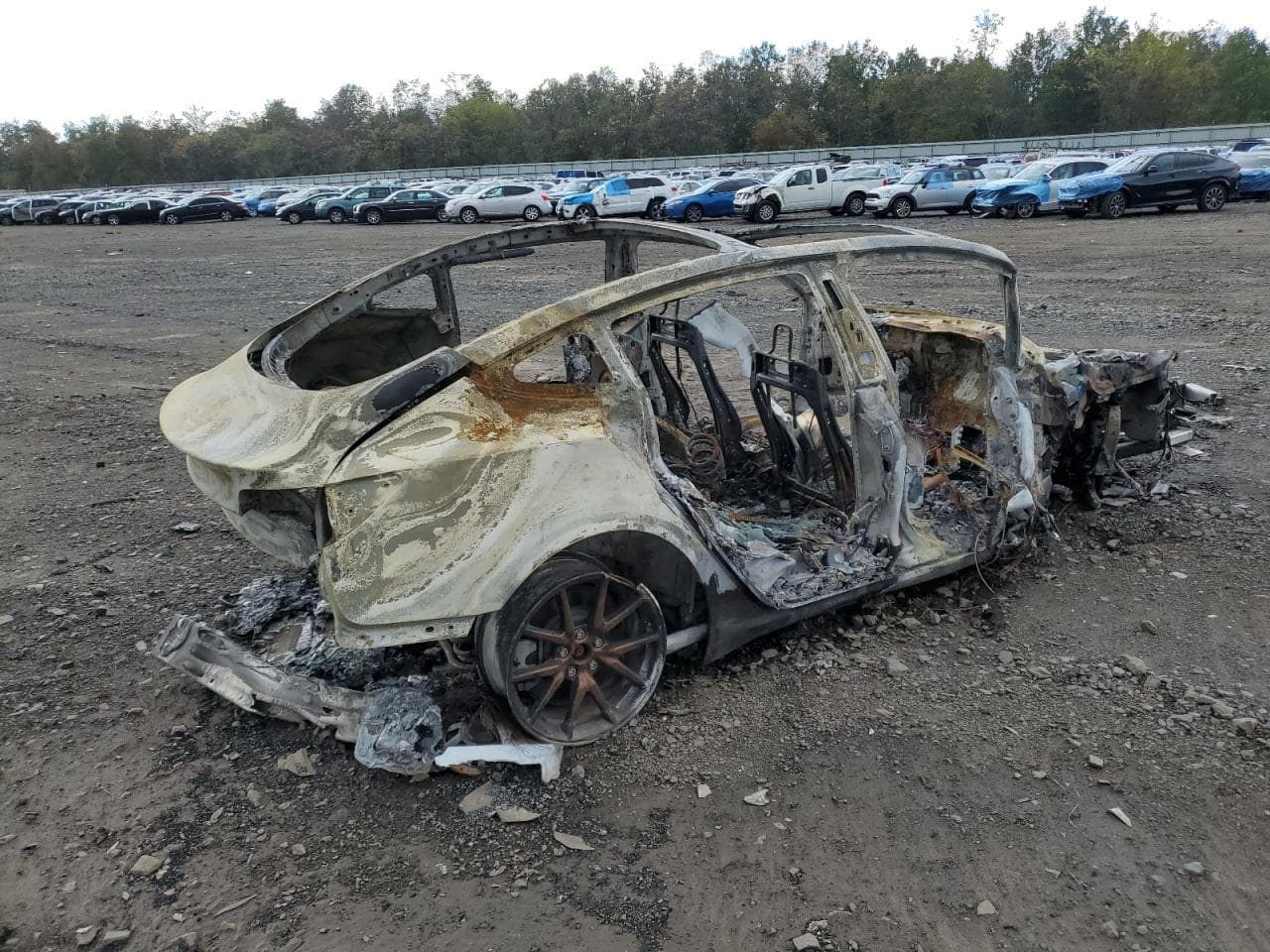 2020 Tesla Model 3 - foto 3