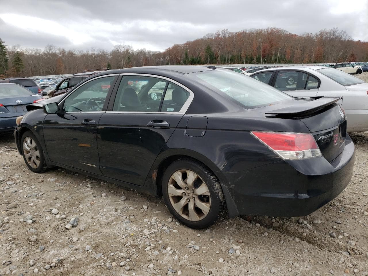 2008 Honda Accord 2.4 Ex-L - foto 2