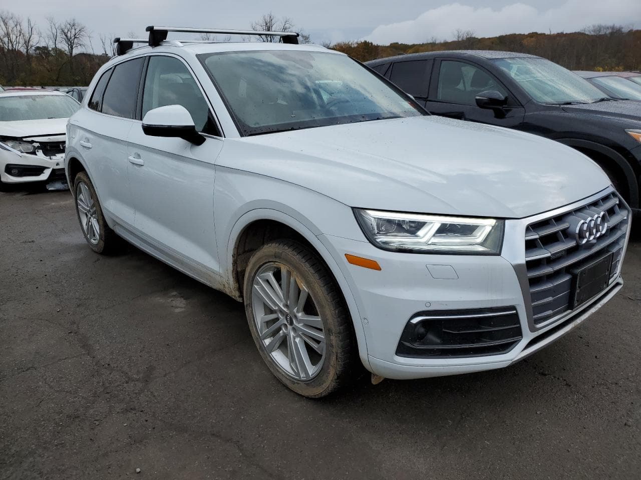 2020 Audi Q5 Prestige - foto 4