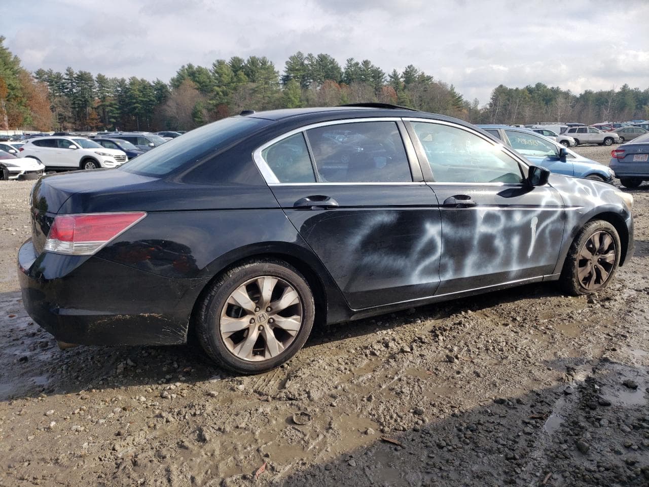 2010 Honda Accord 2.4 Ex-L - foto 3