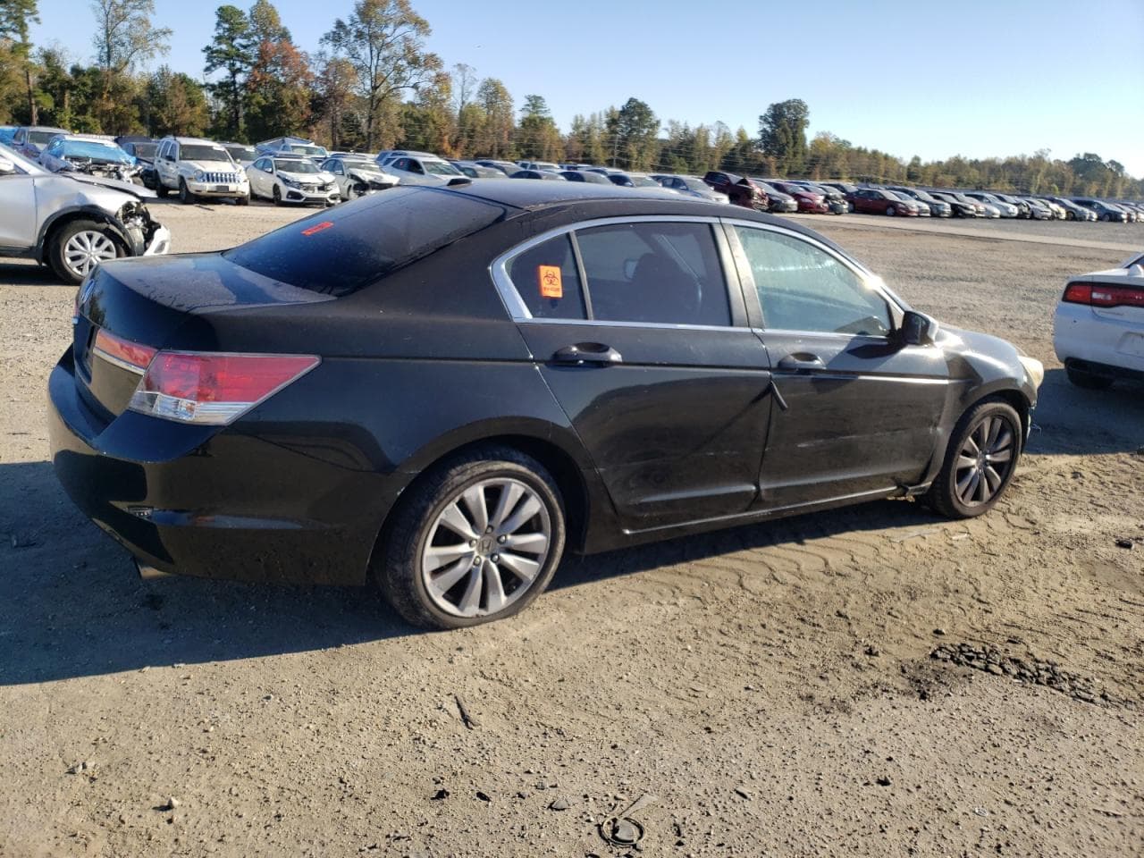 2011 Honda Accord 2.4 Ex-L - foto 3