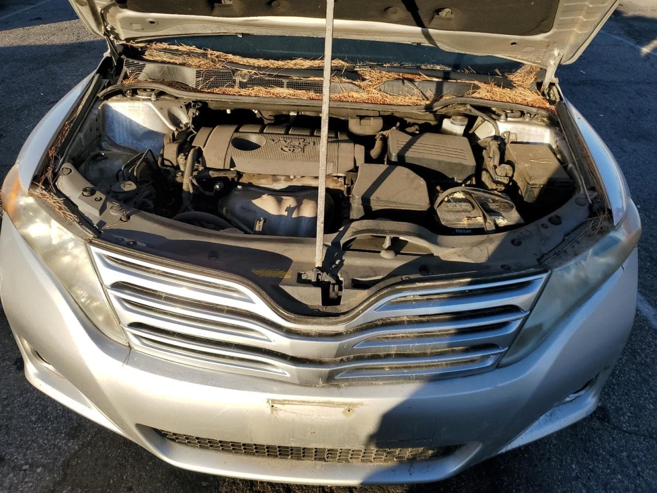 2010 Toyota Venza - foto 2
