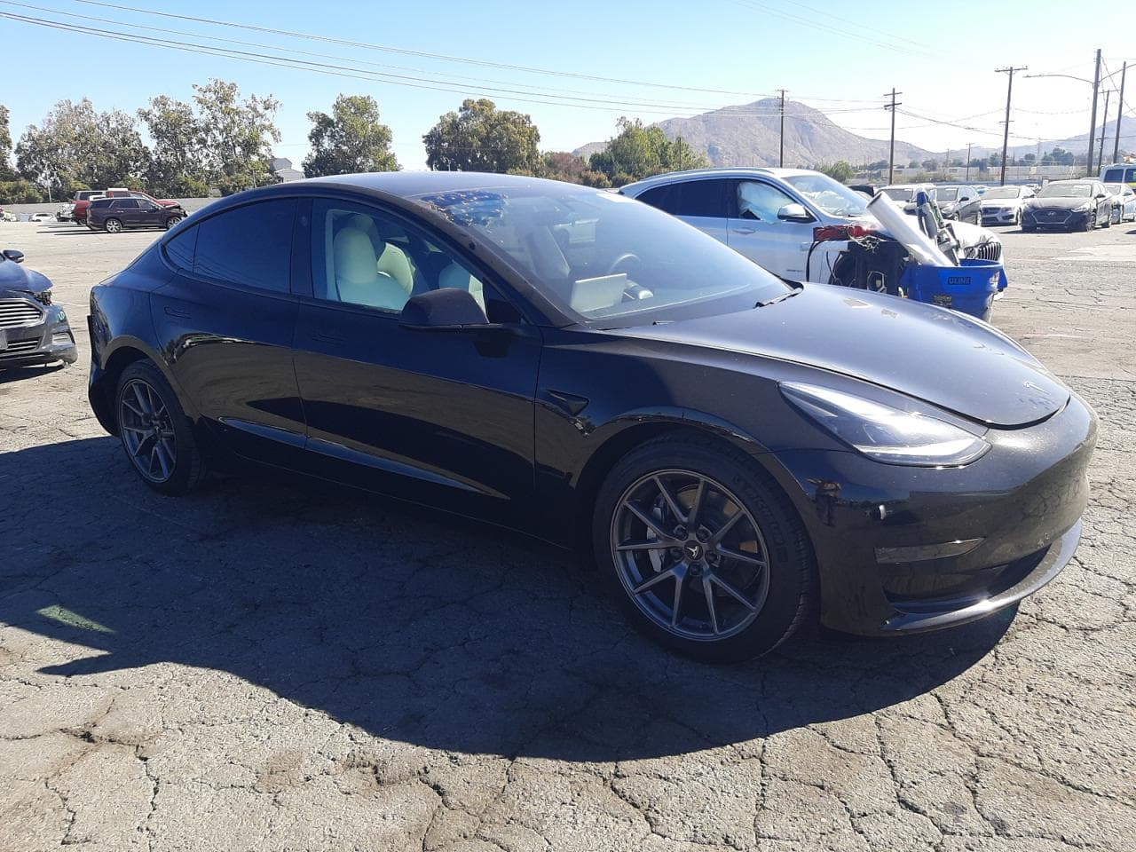 2021 Tesla Model 3 - foto 4