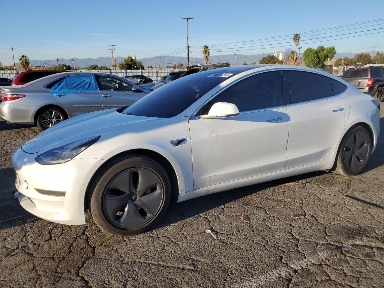 2020 Tesla Model 3