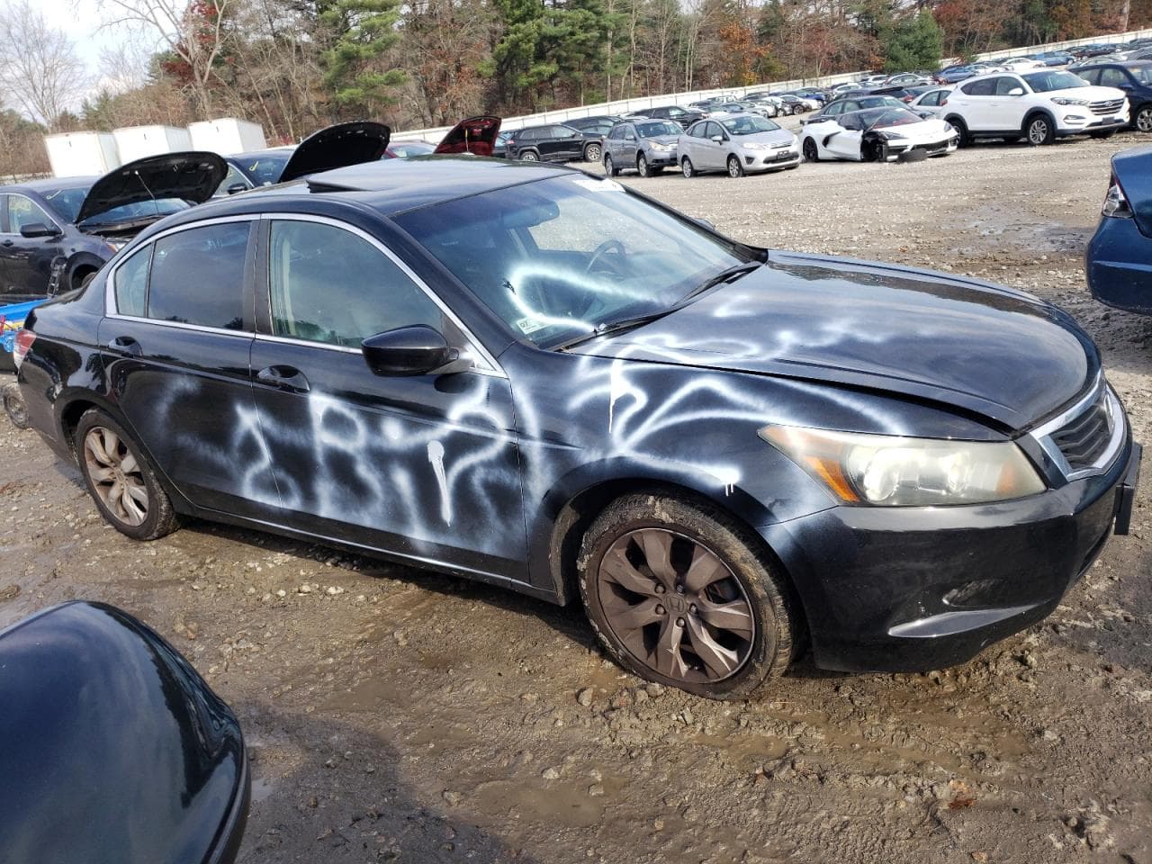 2010 Honda Accord 2.4 Ex-L - foto 4