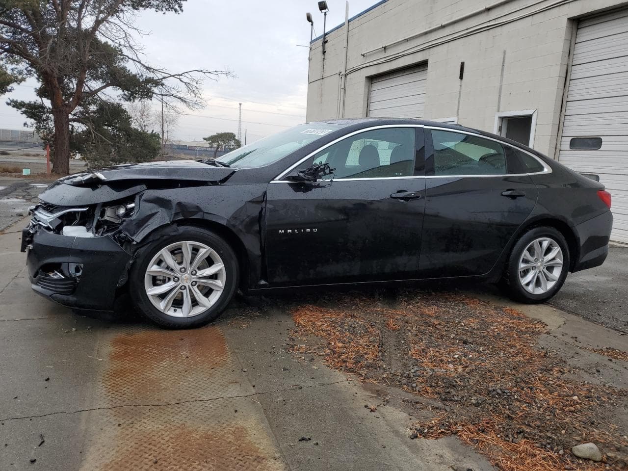 2023 Chevrolet Malibu Fwd 1Lt
