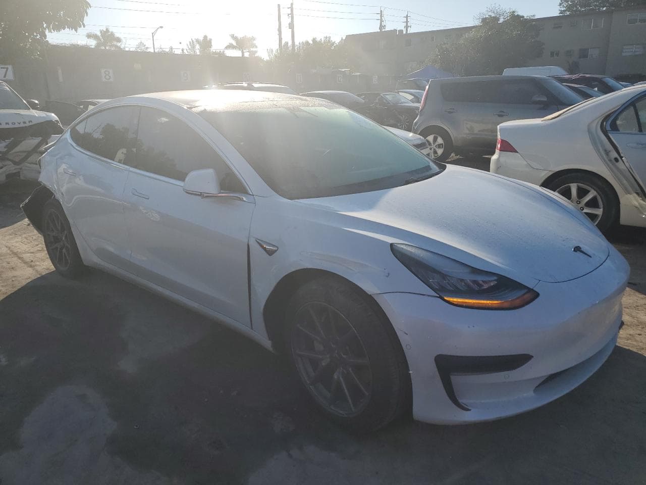 2020 Tesla Model 3 - foto 4