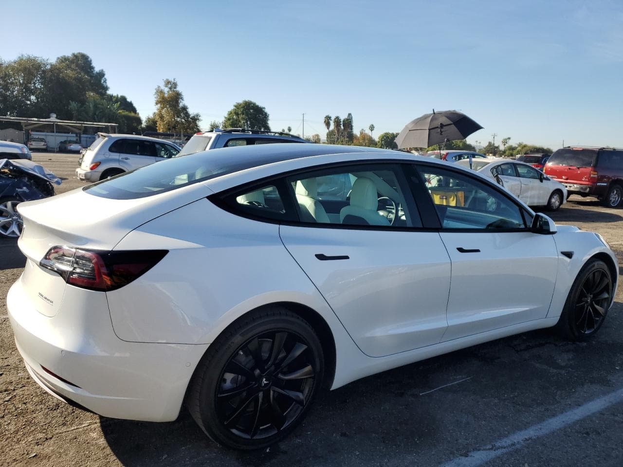 2020 Tesla Model 3 - foto 3