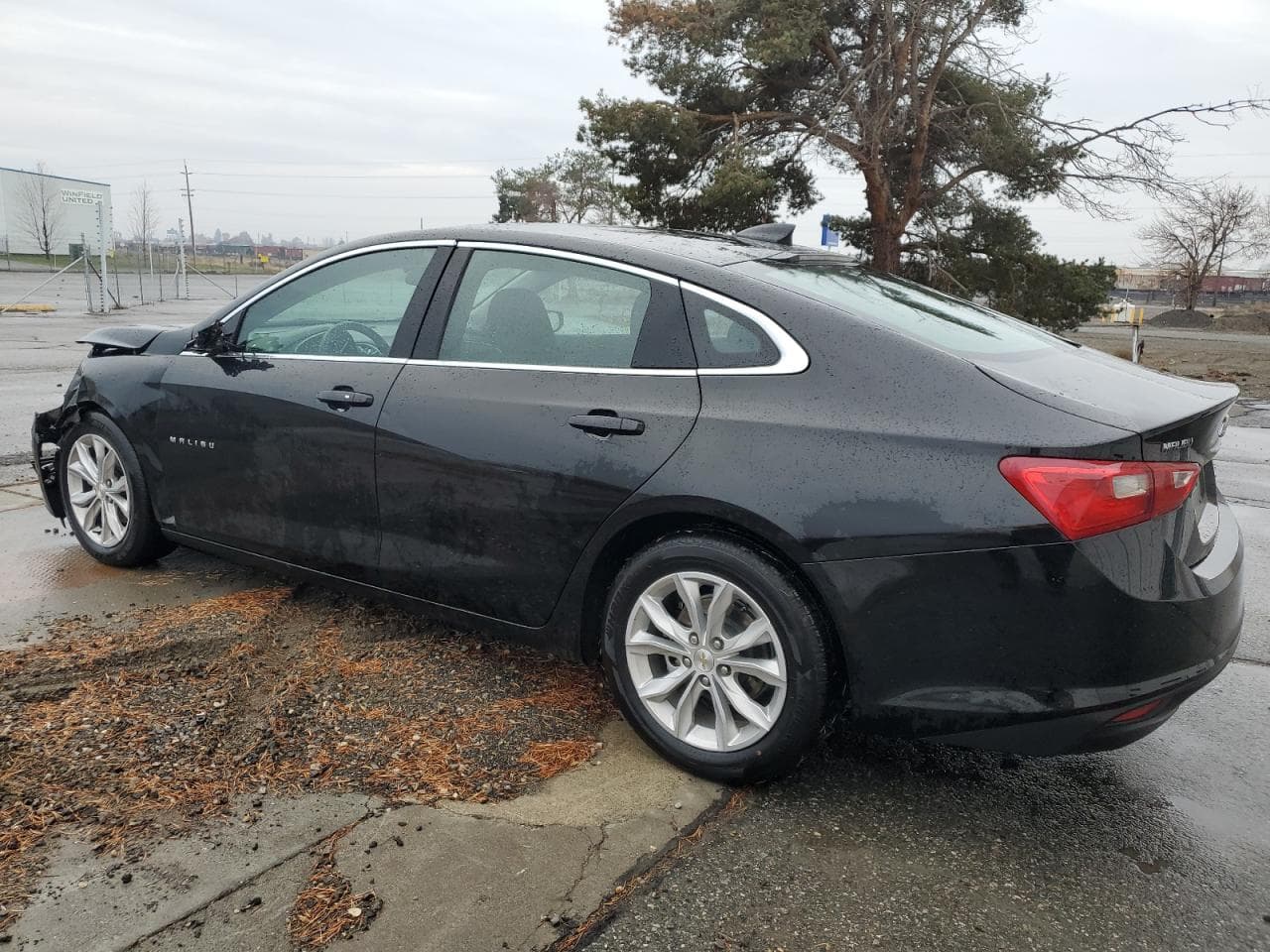 2023 Chevrolet Malibu Fwd 1Lt - foto 2