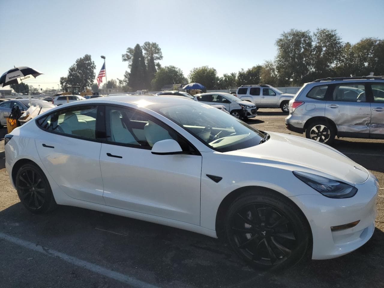 2020 Tesla Model 3 - foto 4