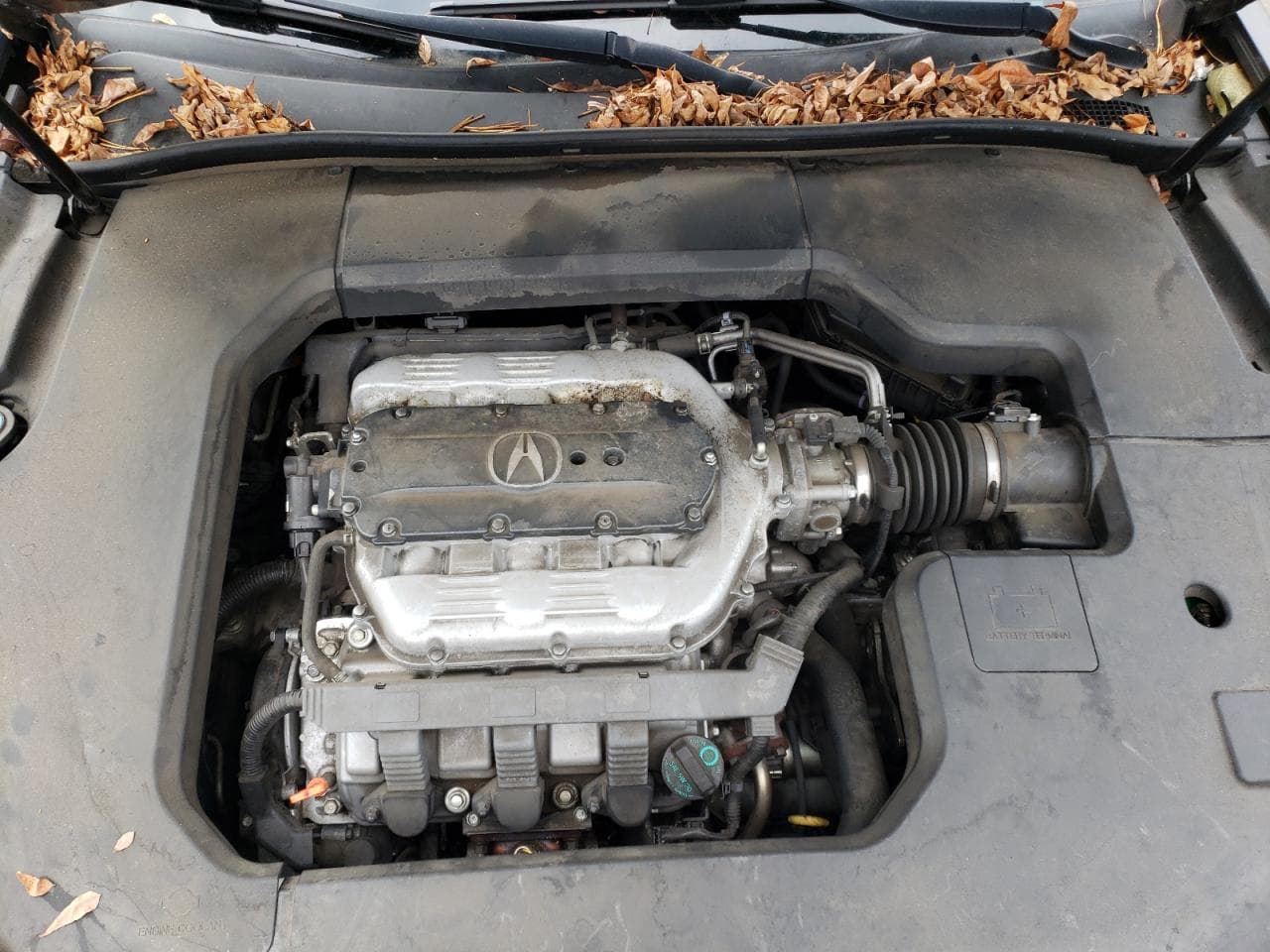 2011 Acura Tl
