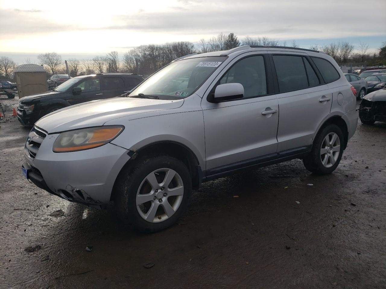 2008 Hyundai Santa Fe Limited/Se