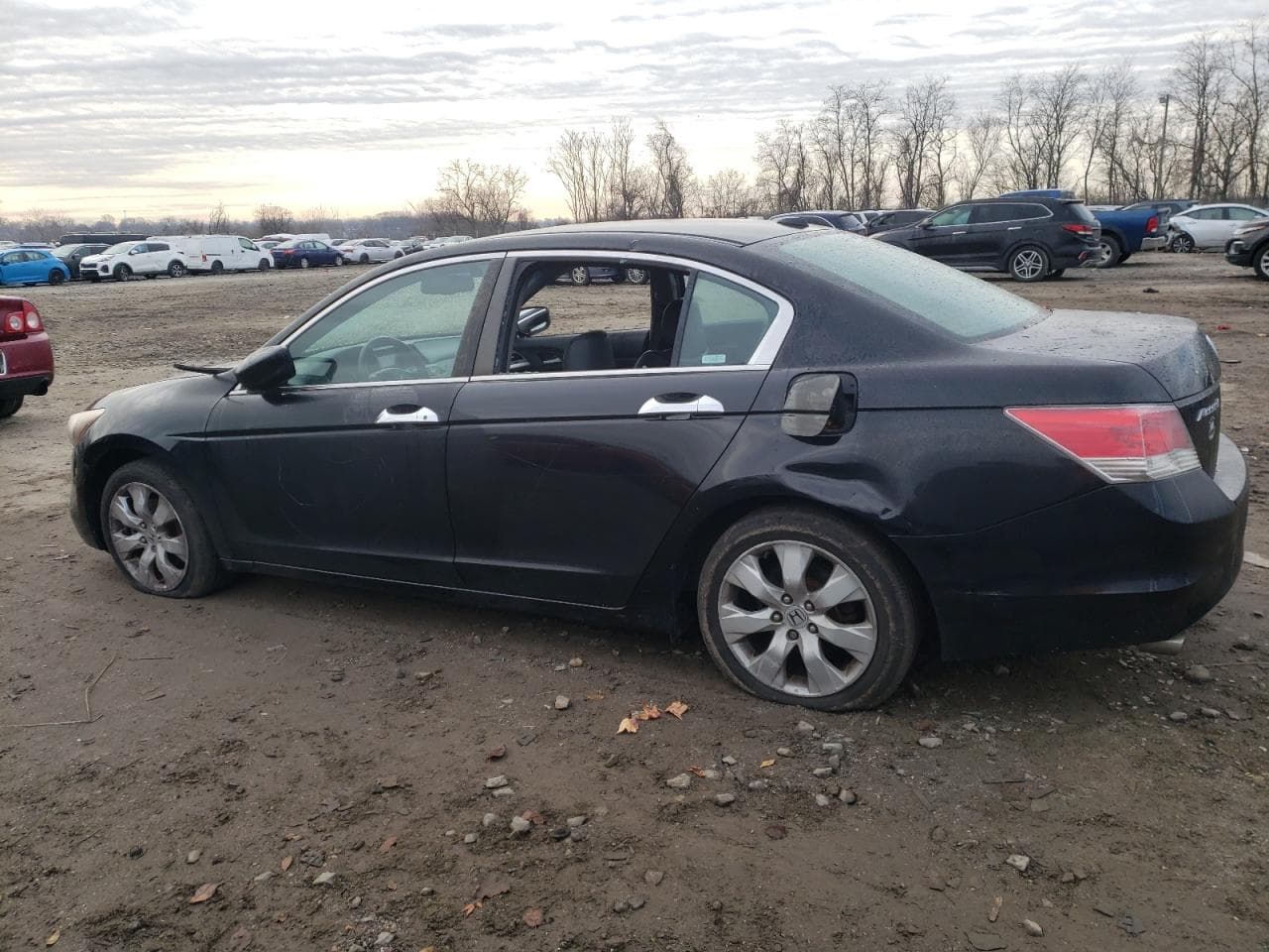 2009 Honda Accord 3.5 Ex-L - foto 2