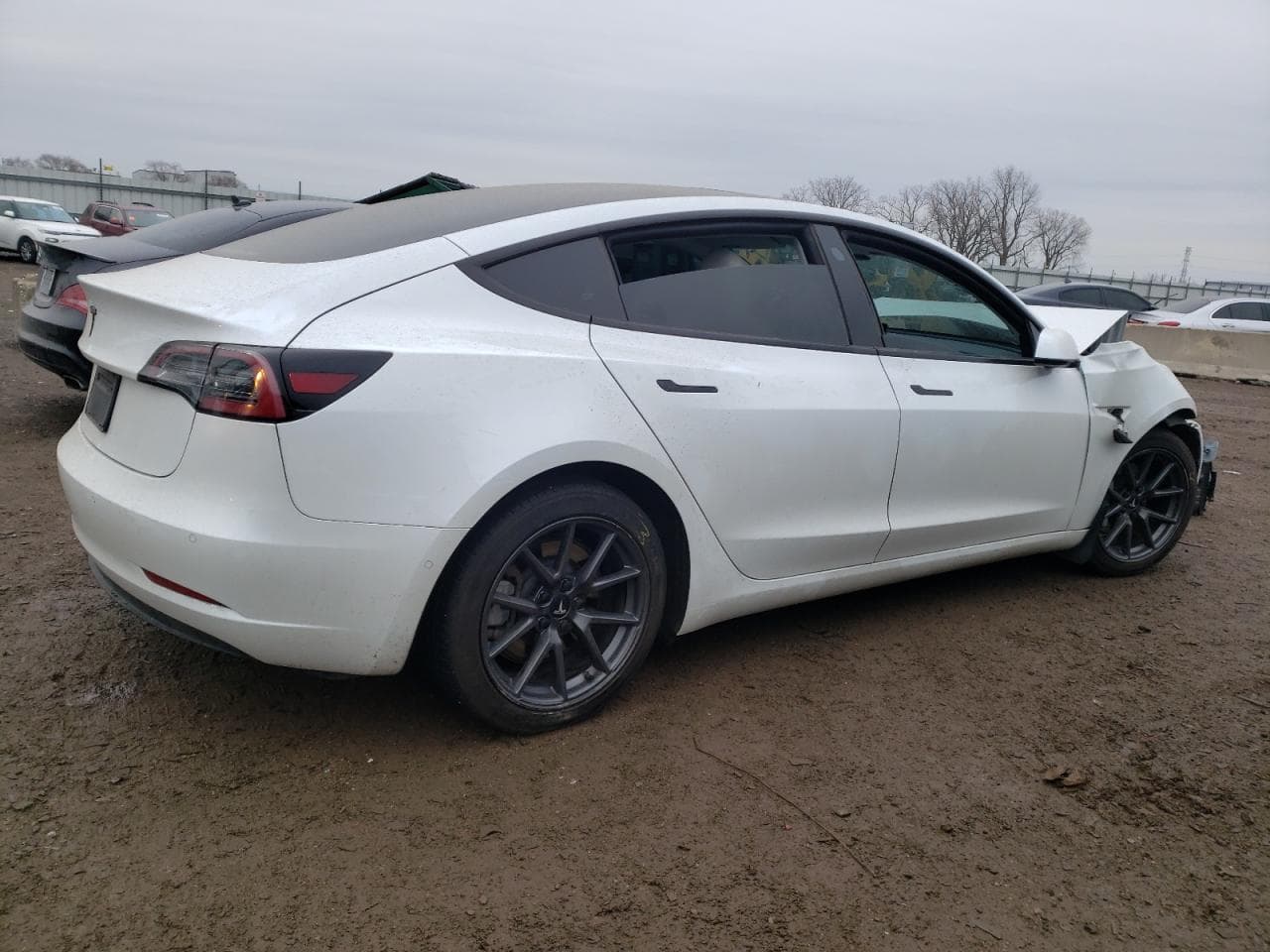 2021 Tesla Model 3 - foto 3