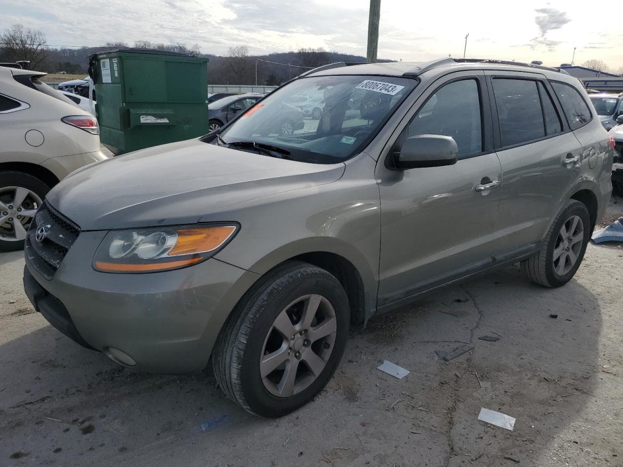 2008 Hyundai Santa Fe Limited/Se