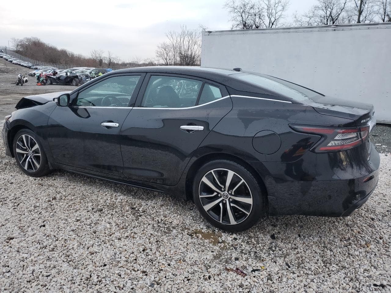 2021 Nissan Maxima Sv - foto 2