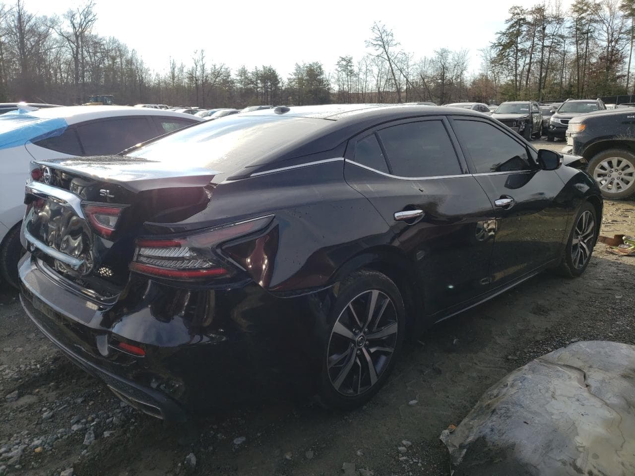 2019 Nissan Maxima 3.5 Sl - foto 3