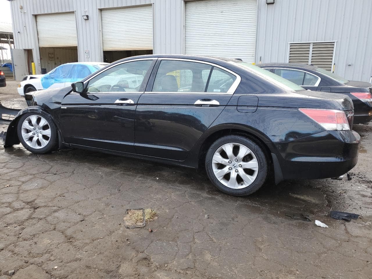 2008 Honda Accord 3.5 Ex-L - foto 2