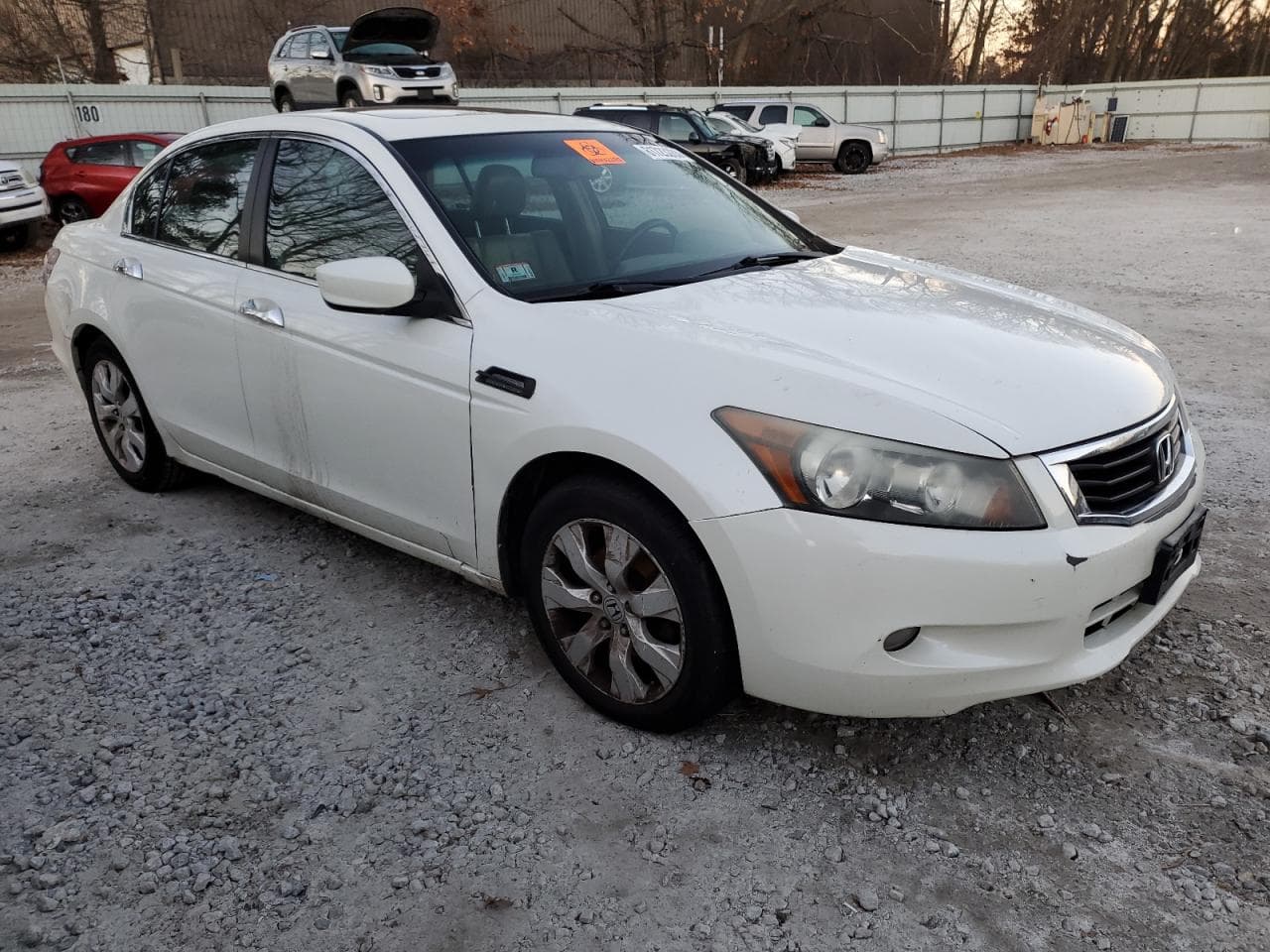 2009 Honda Accord 3.5 Ex-L - foto 4