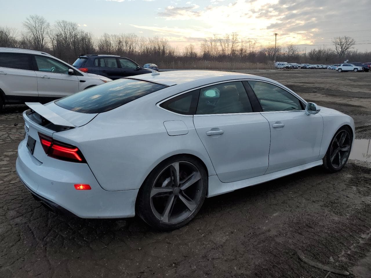 2016 Audi Rs 7 4.0T Prestige - foto 3