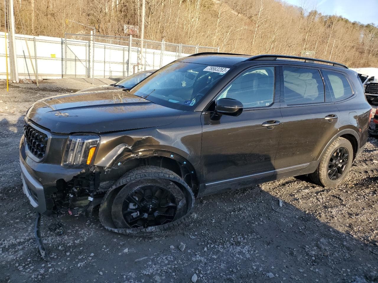 2023 Kia Telluride Sx