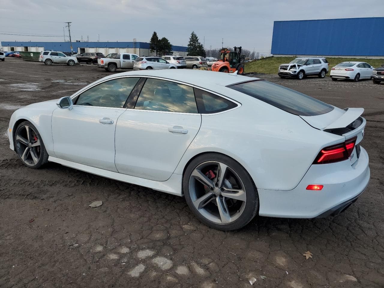 2016 Audi Rs 7 4.0T Prestige - foto 2