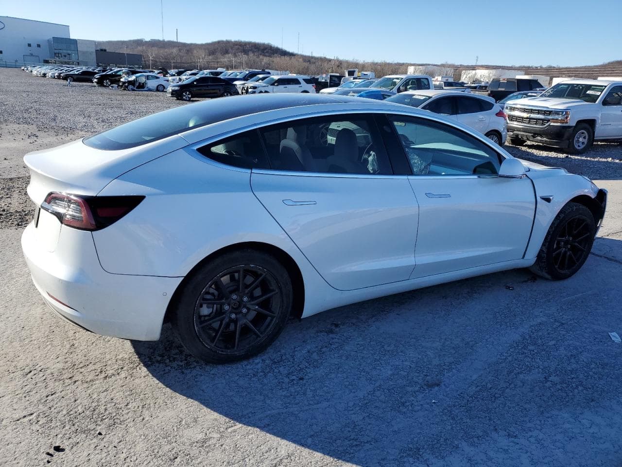 2020 Tesla Model 3 - foto 3