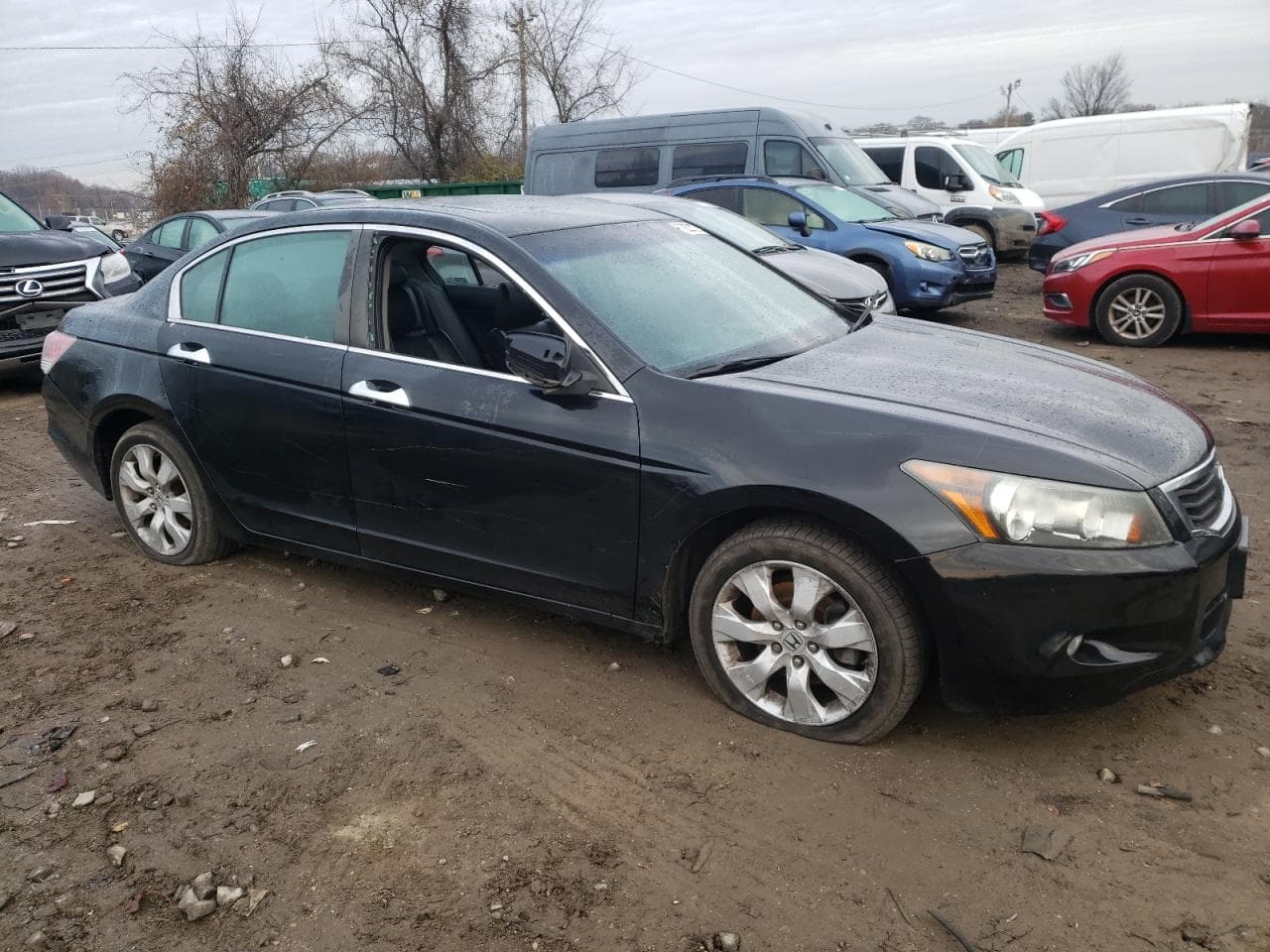 2009 Honda Accord 3.5 Ex-L - foto 4