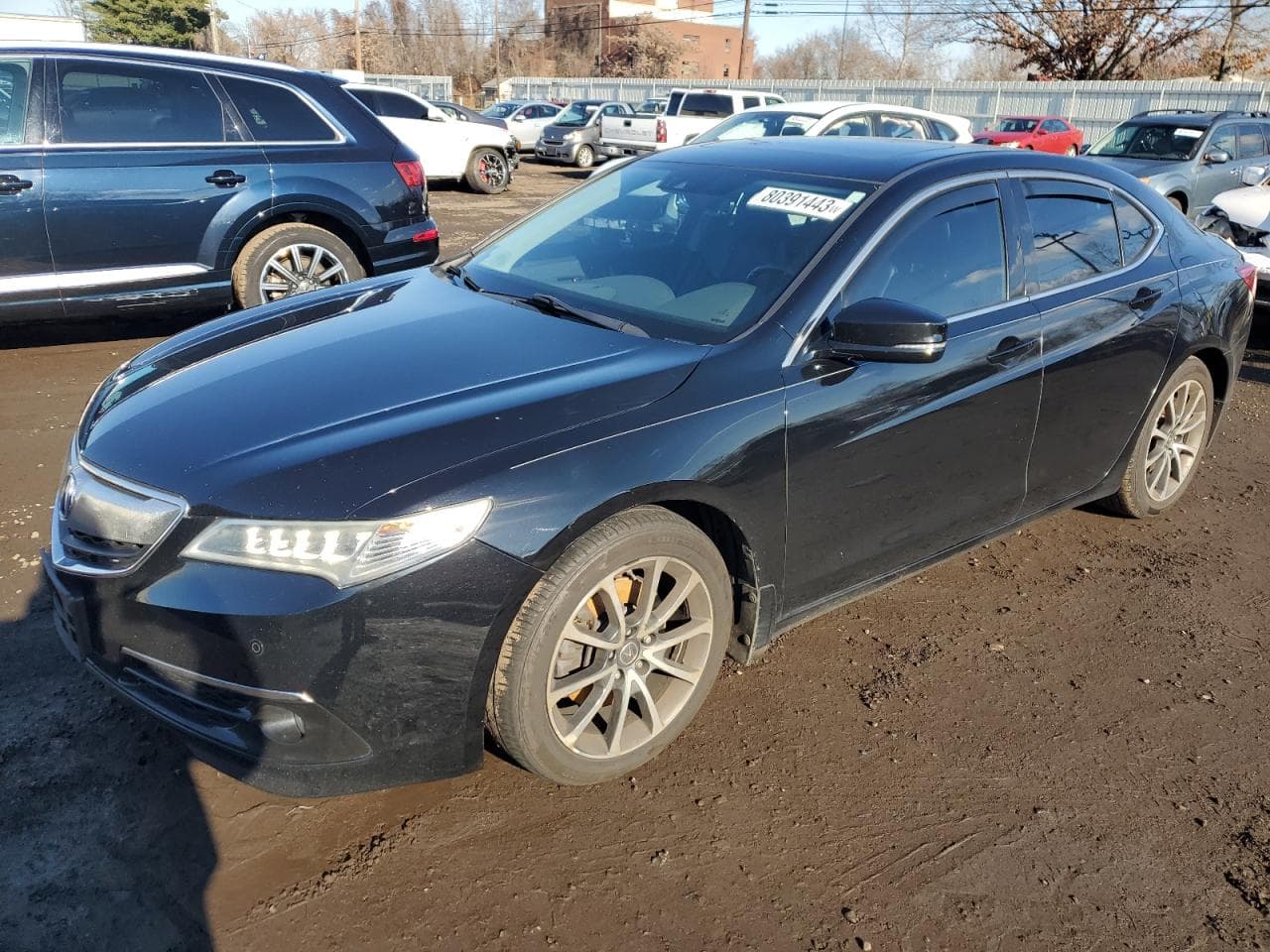 2015 Acura Tlx