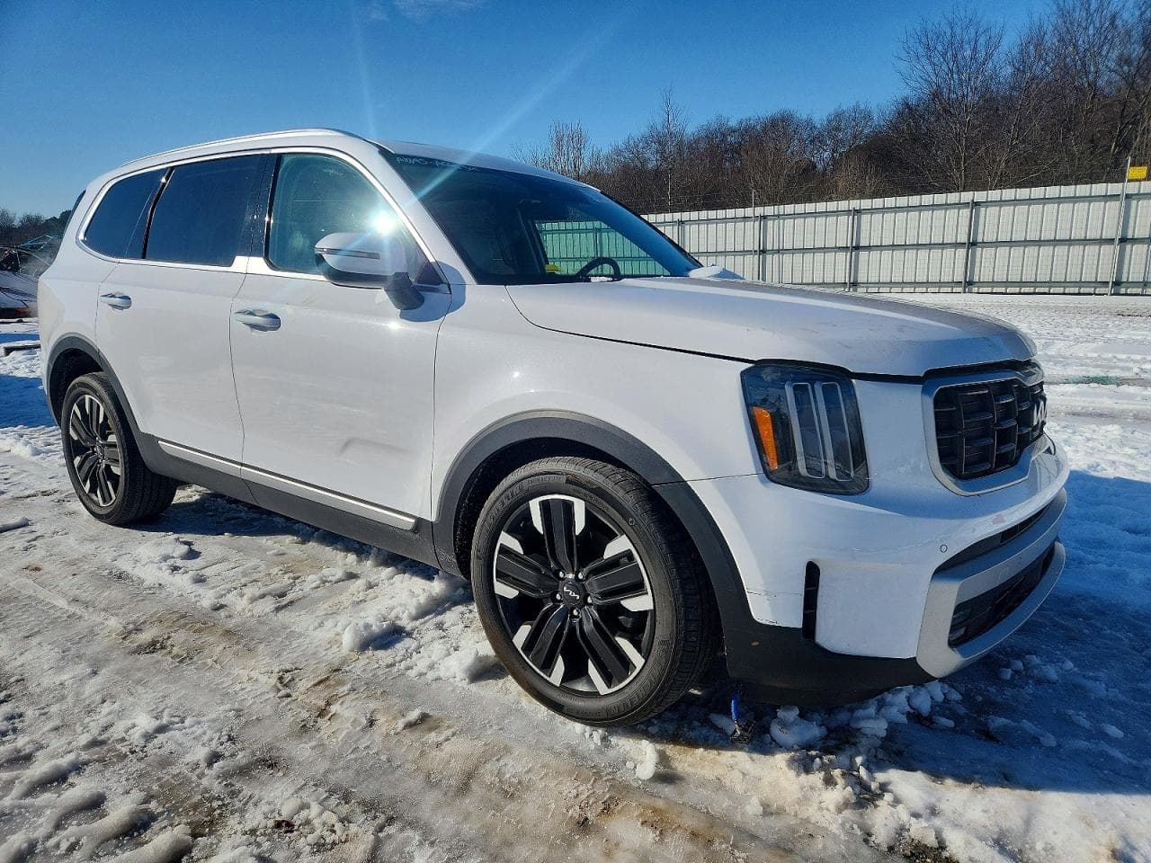 2024 Kia Telluride Sx - foto 4