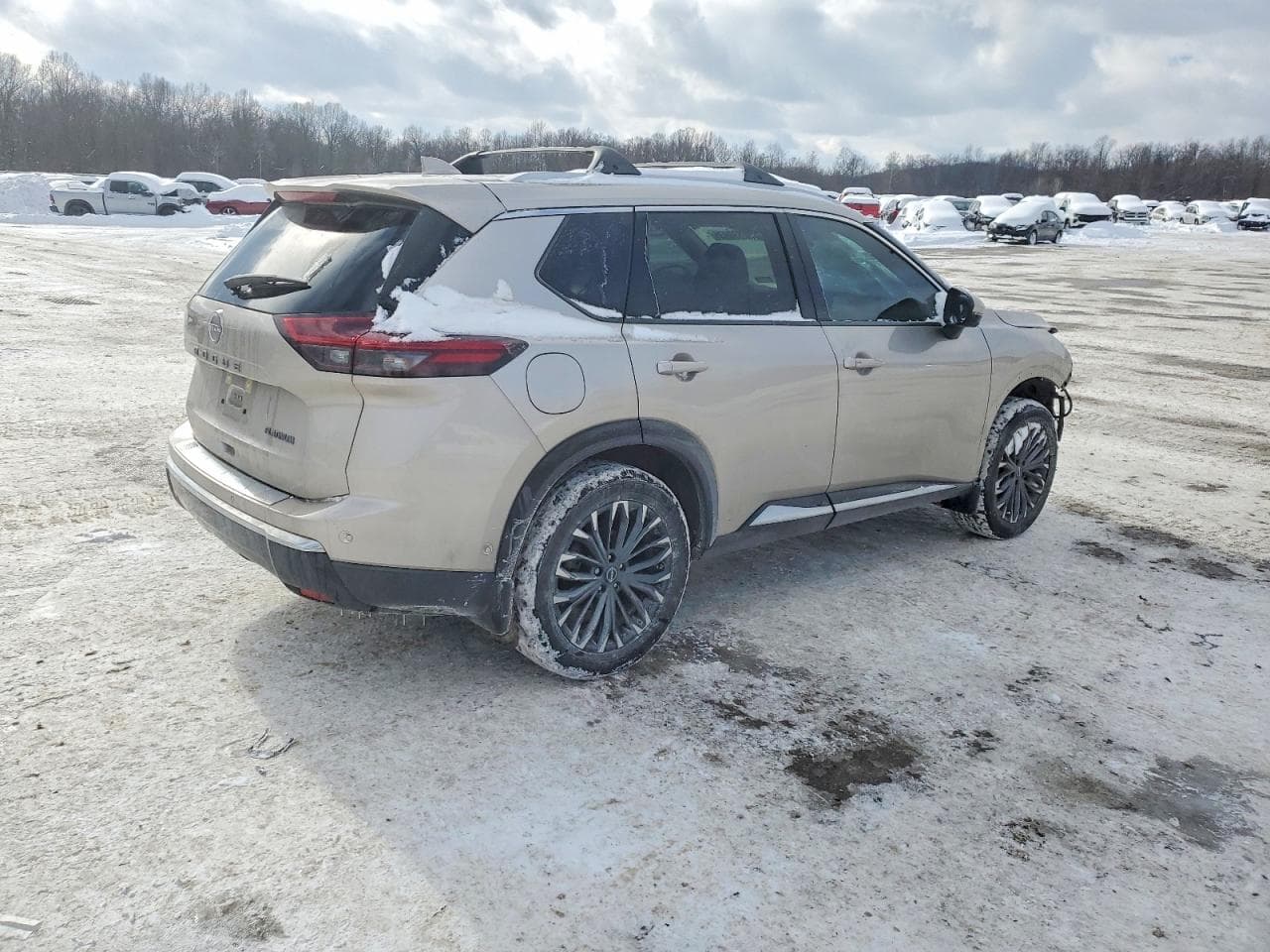 2025 Nissan Rogue Platinum - foto 3