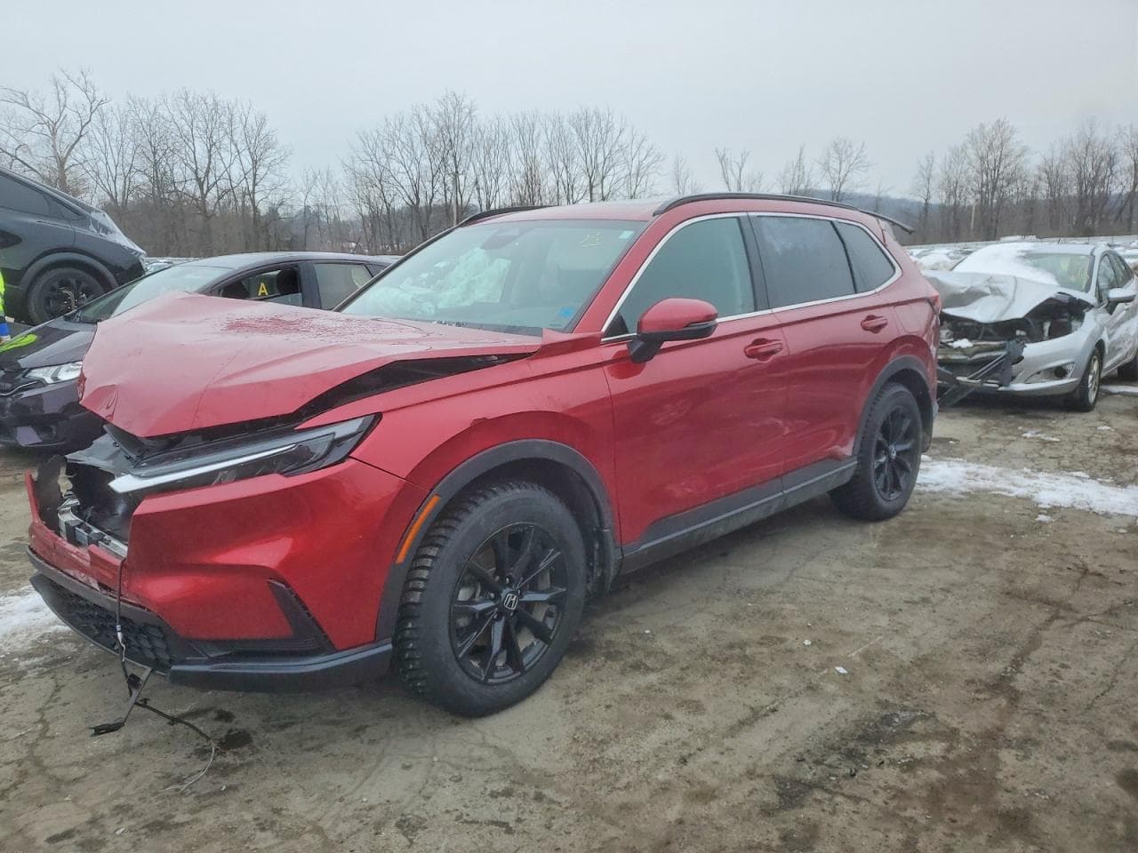 Honda CR-V 2025 z USA
