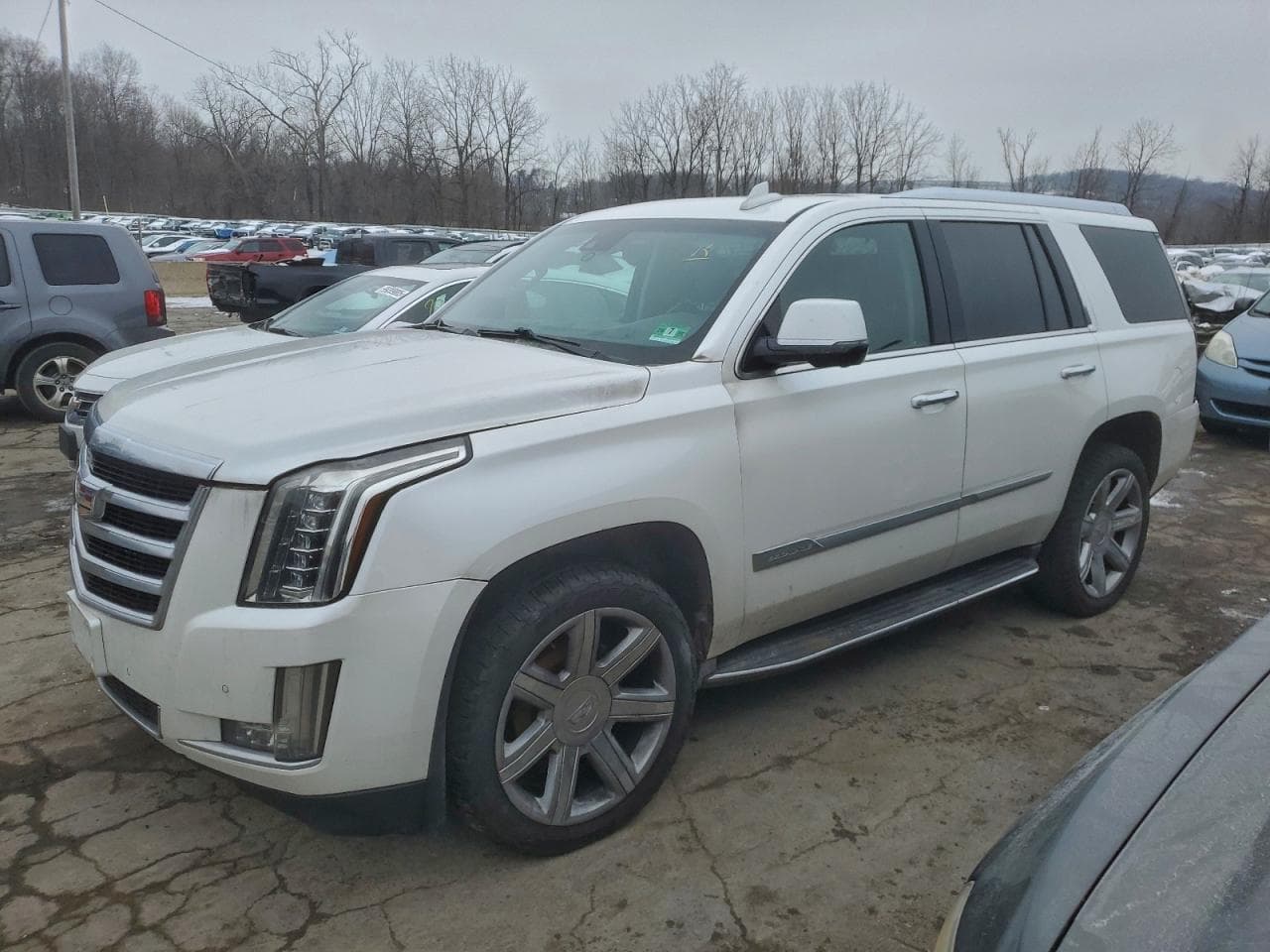 Cadillac Escalade 2016 z USA