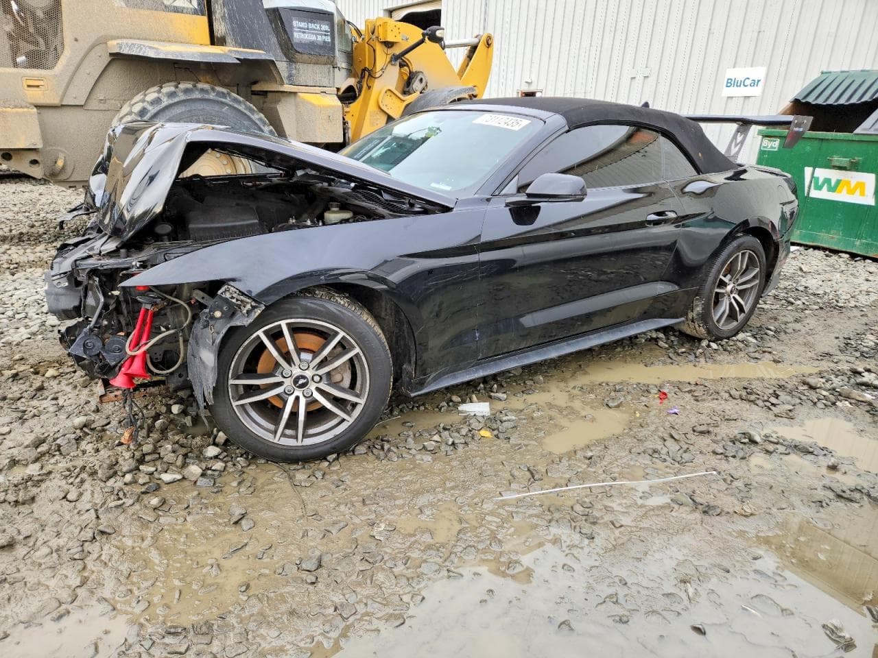 Ford Mustang 2015 z USA