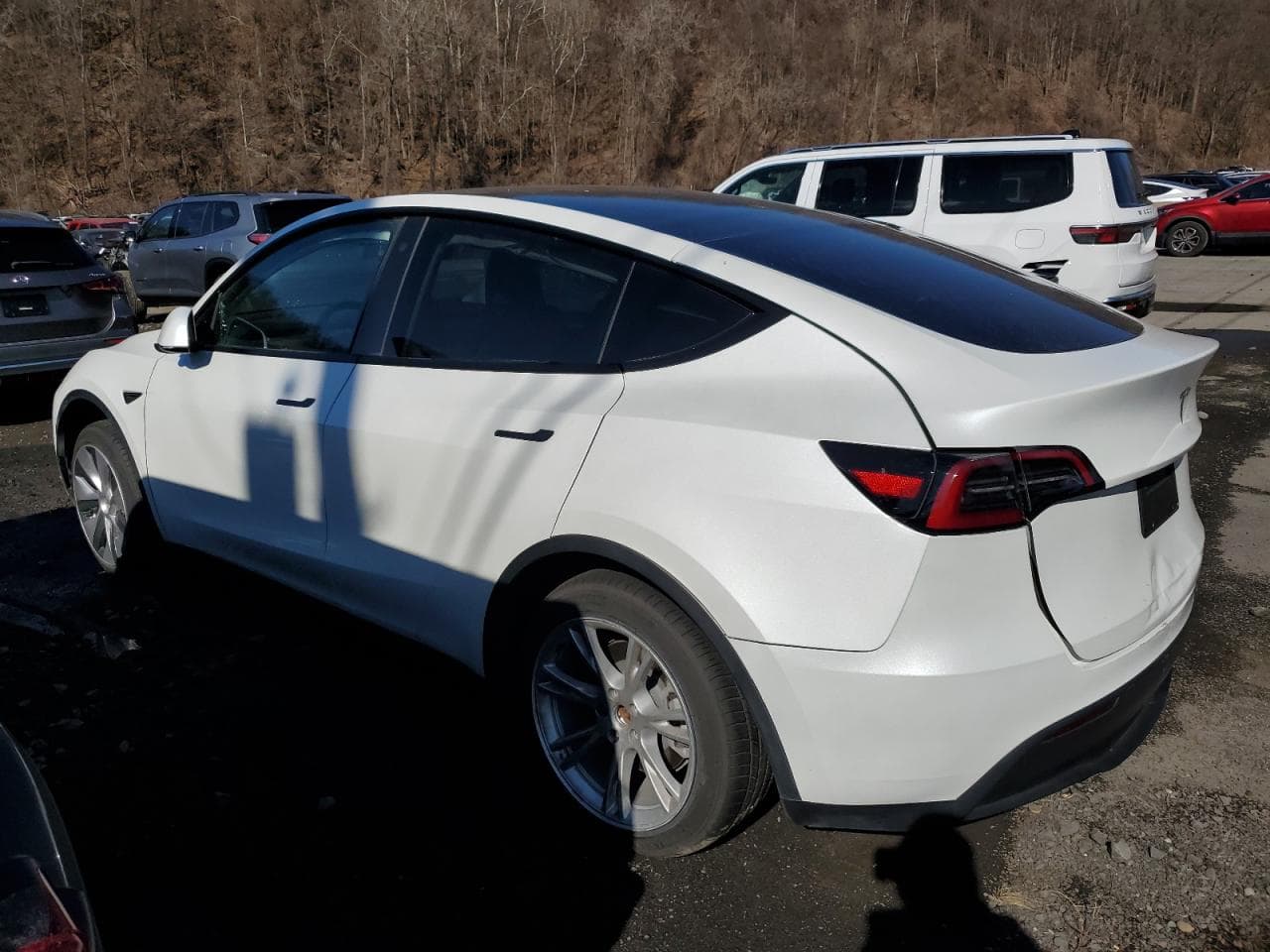2023 Tesla Model Y - foto 2