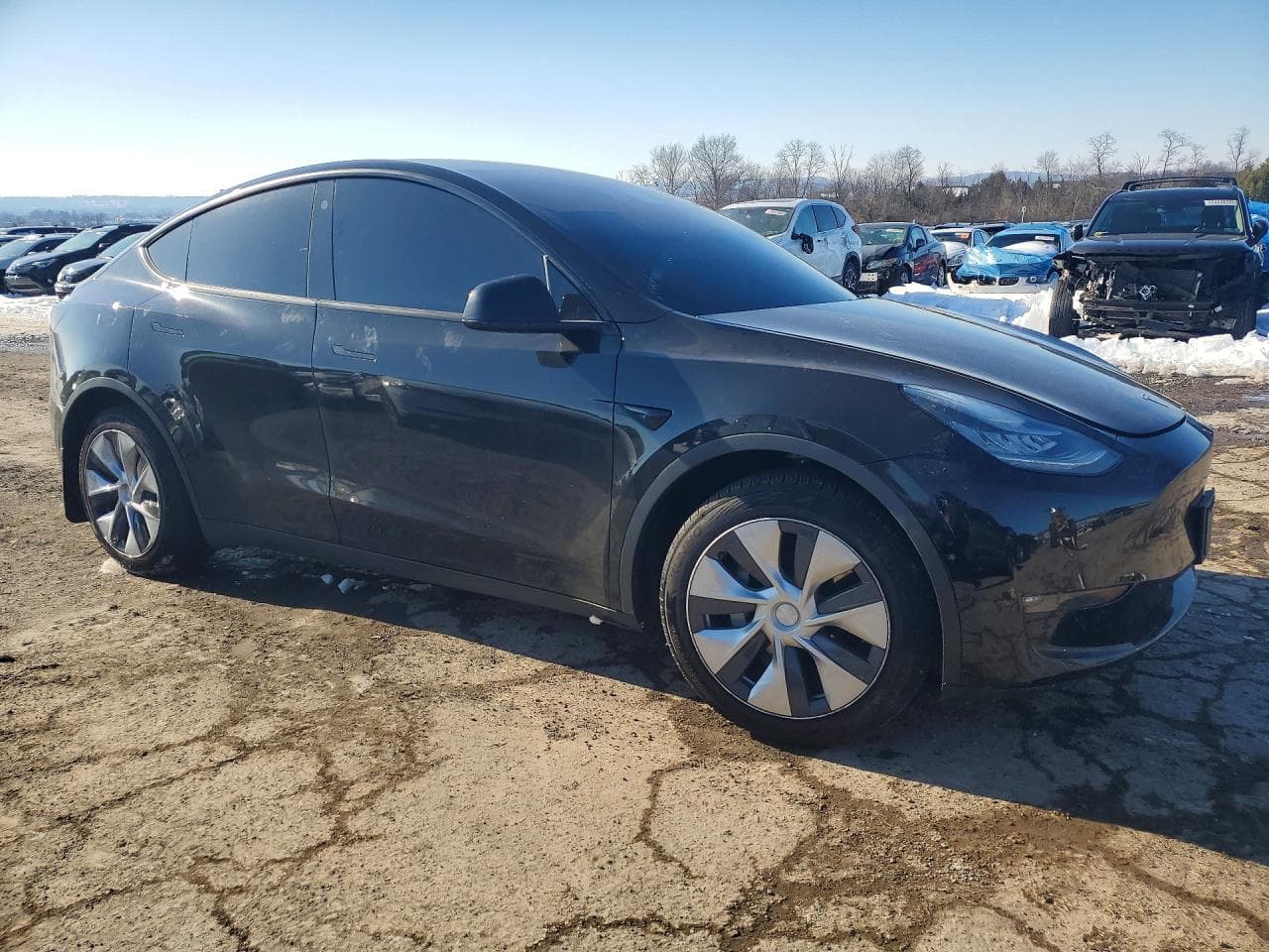 2021 Tesla Model Y - foto 4