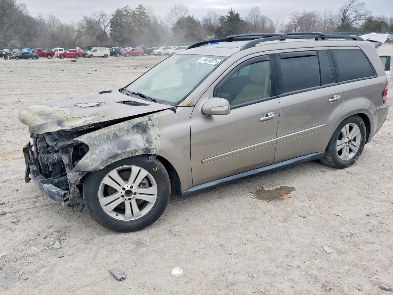2008 Mercedes-Benz Gl 320 Cdi