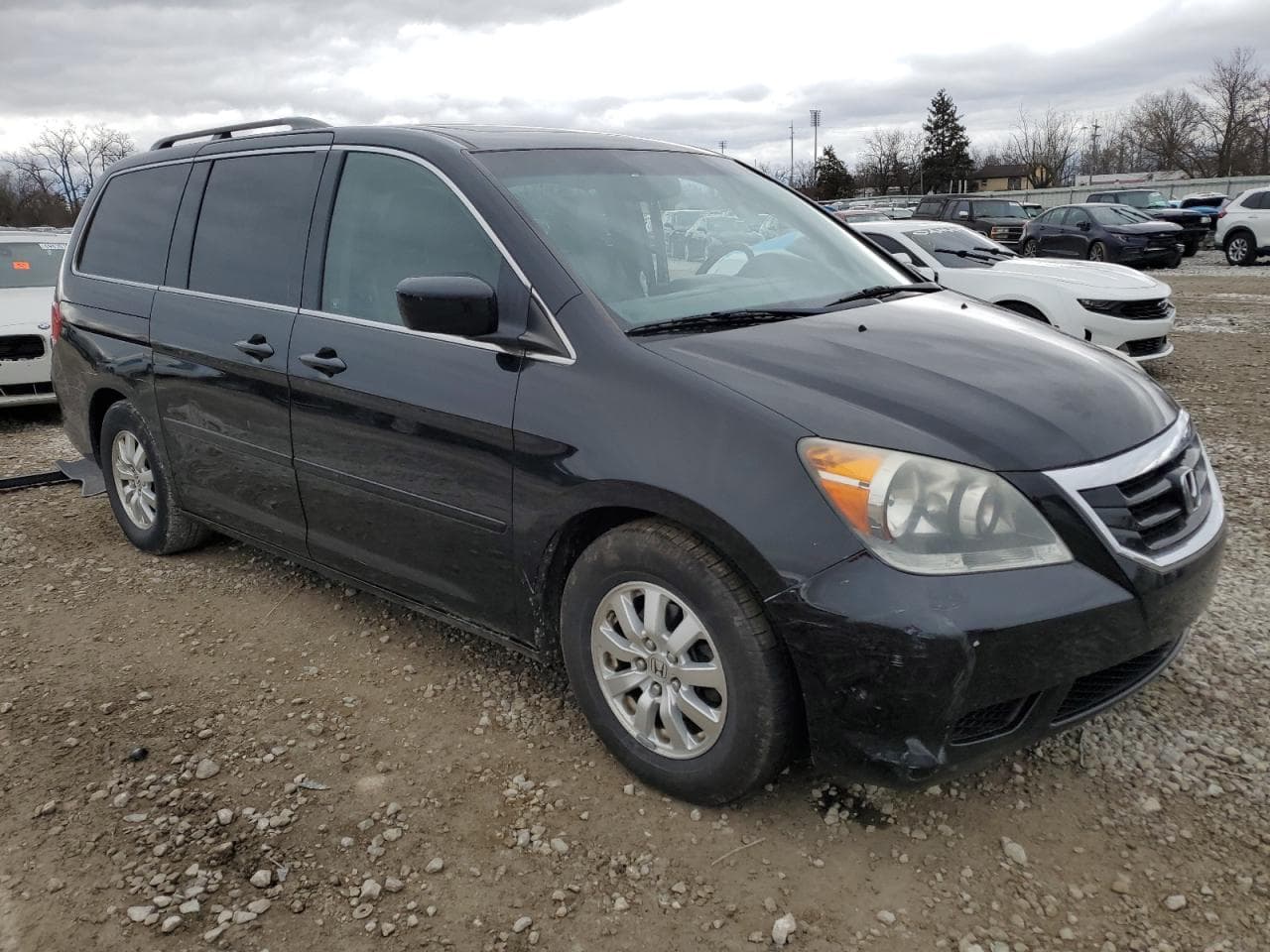 2010 Honda Odyssey Exl - foto 4
