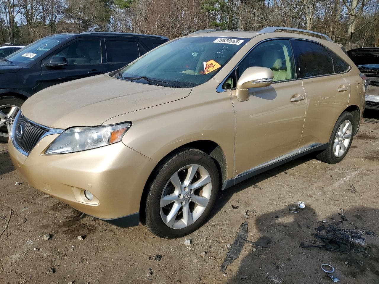 Lexus RX 2010 z USA