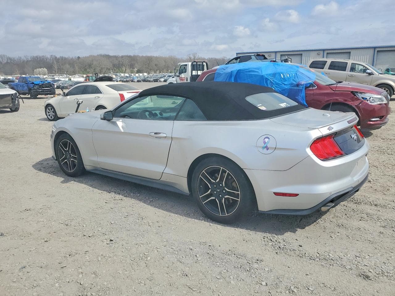 2019 Ford Mustang - foto 2