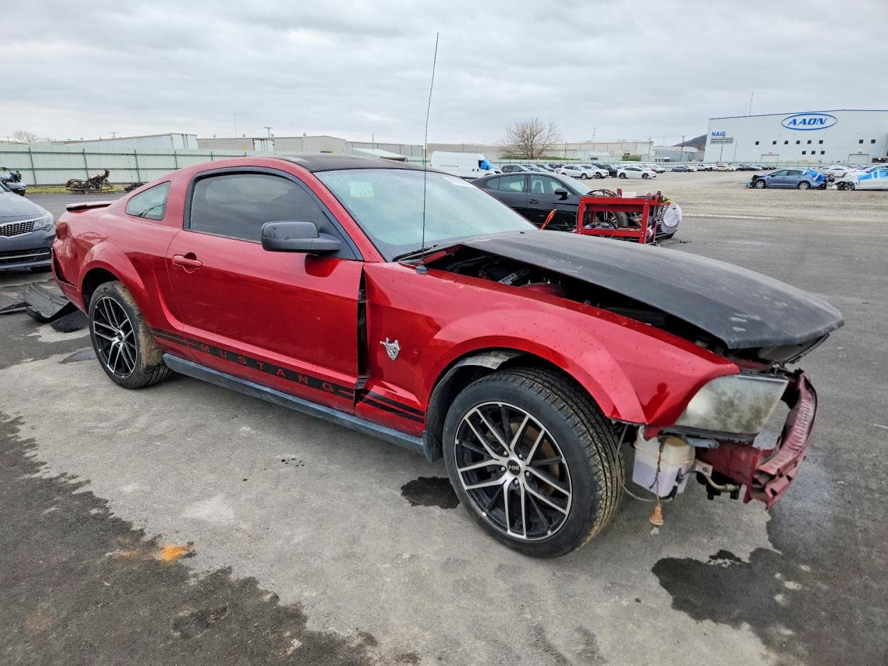 2009 Ford Mustang 50Th Anniversary - foto 4
