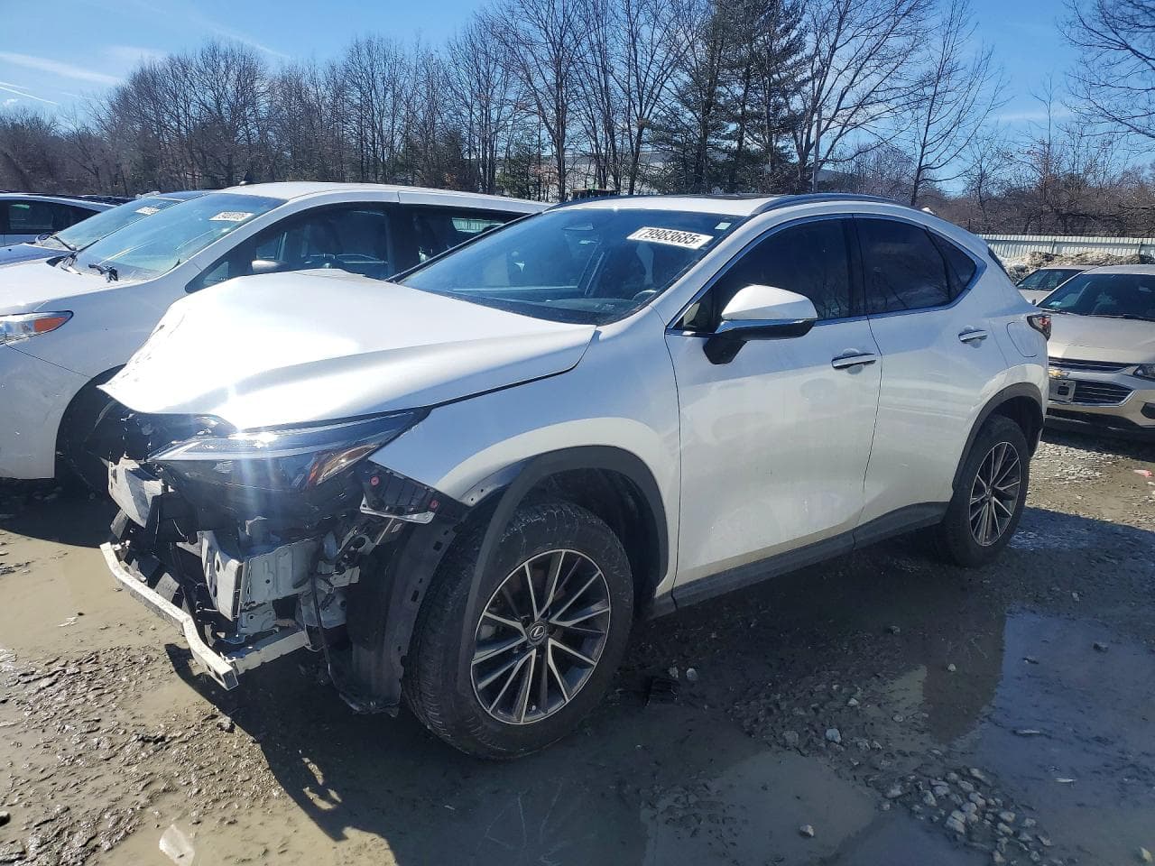 2022 Lexus Nx 350 Base
