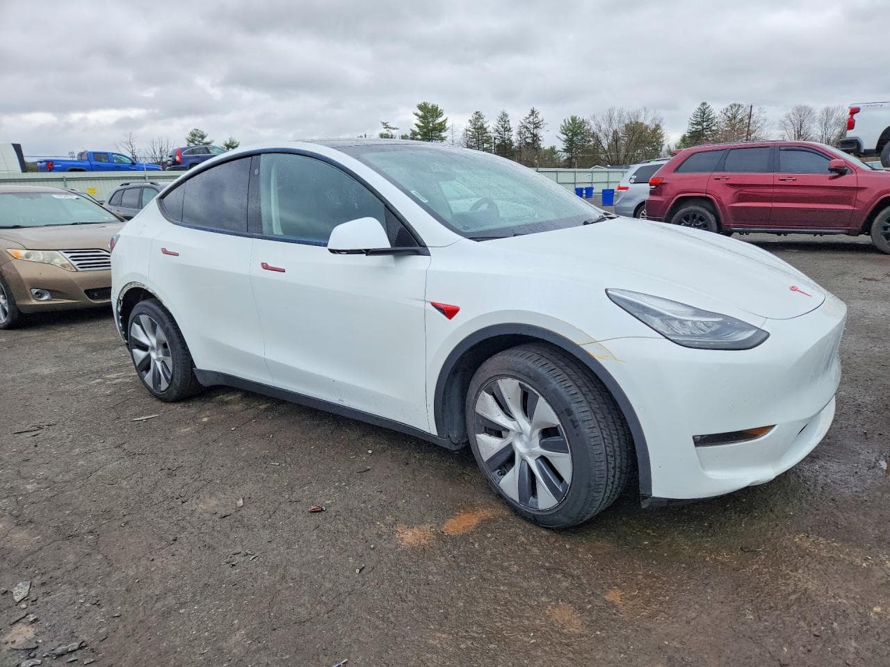 2021 Tesla Model Y - foto 4
