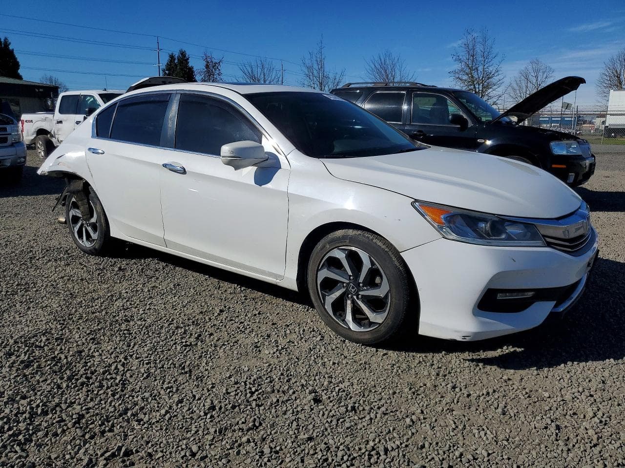 2016 True Accord - foto 4